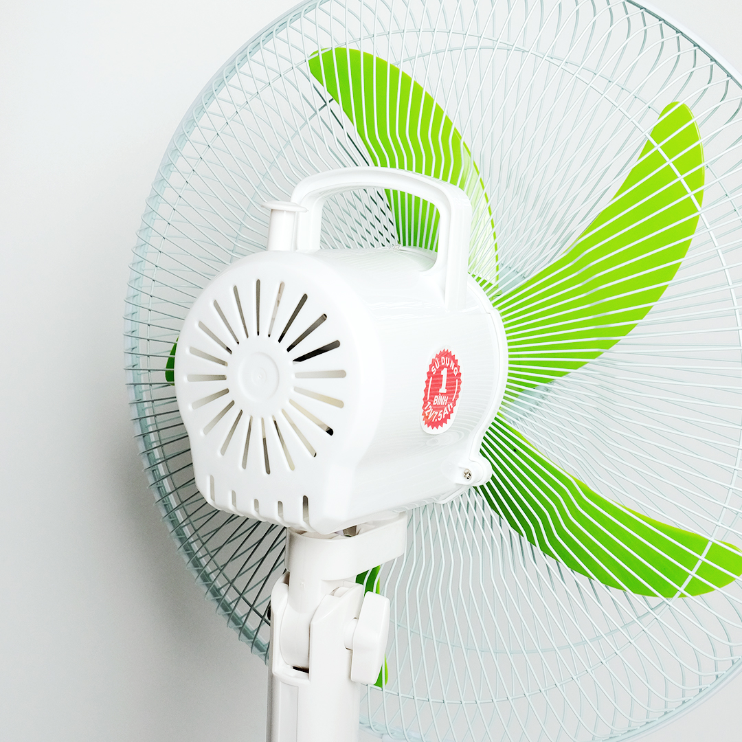 detail-2-47aad9b8-51da-4e16-adf3-35294fe33e90