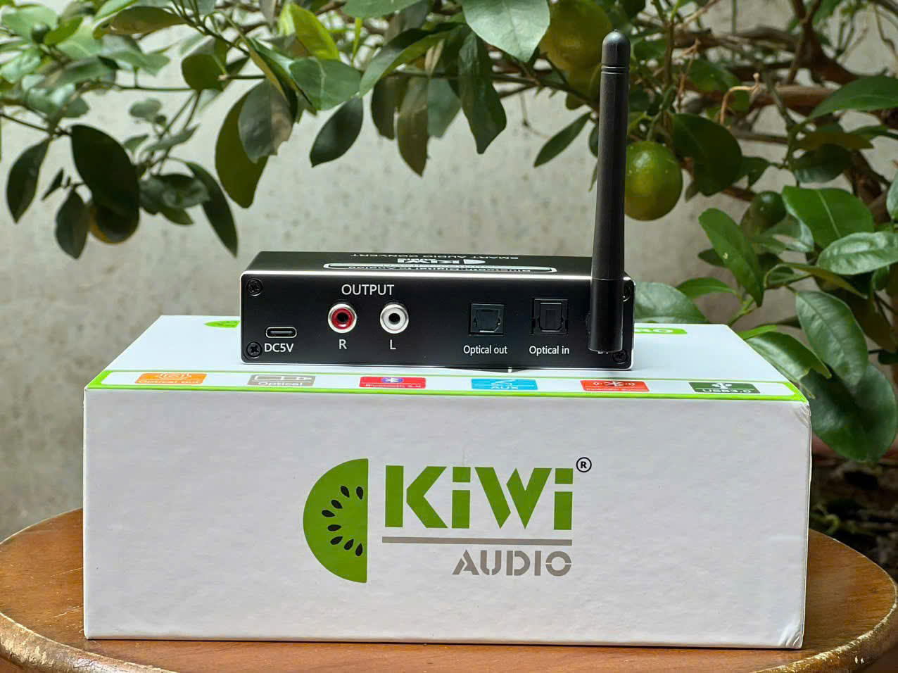 z6313329456873_03d47c4042d75917d95128613eb901be